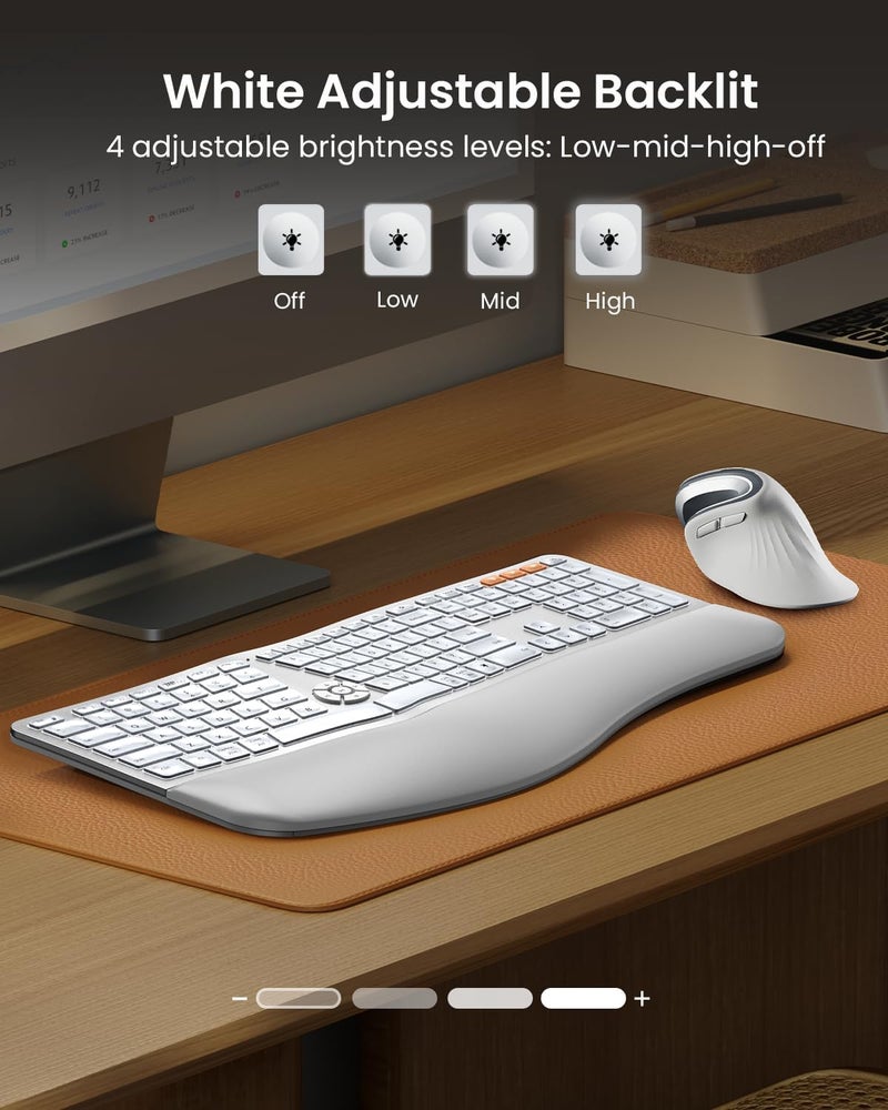 ProtoArc Backlit Bluetooth Ergonomic Keyboard, EK01 Plus Full Size Wireless Split Keyboard with Dual Bluetooth and USB, Cushioned Wrist Rest, Rechargeable, for Windows/Mac/Android, White and Silver - Image 2